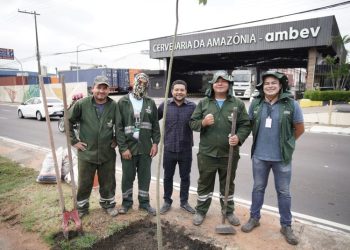 Prefeitura de Manaus realiza ação de arborização na avenida Constantino Nery