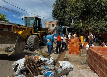 Prefeitura atua com demolição administrativa em início de ocupação em Área de Preservação Permanente no Tarumã