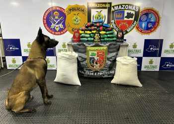 Base Arpão 3: Polícia apreende 36 quilos de drogas em sacos com farinha