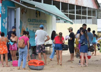 Sepet realiza castração de 300 animais em Barcelos