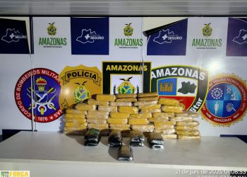 Base Arpão 3: Cadela policial localiza 40 quilos de drogas em embarcação que transportava veículos