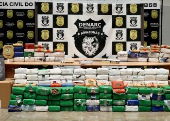 Cerca de 300 quilos de skunk avaliados em R$ 6 milhões são interceptados pela PC-AM antes de chegar à Europa