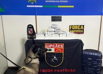 Base Arpão 3: PMAM apreende mais de 12 quilos de pasta-base de cocaína e prende suspeito por tráfico de drogas