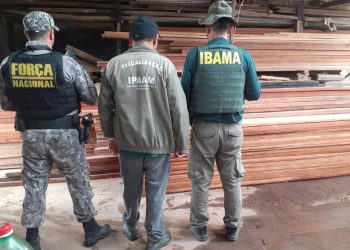 Ipaam aplica R$ 1,39 milhão em multas por crimes ambientais durante Operação Força Tarefa Amazônia