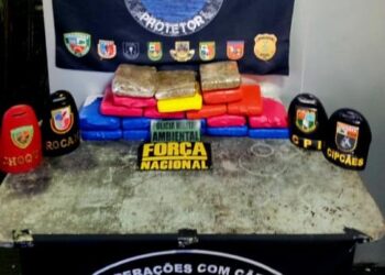 Base Arpão 2: Em ações distintas, PMAM apreende 36 tabletes de entorpecentes em embarcações