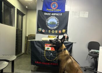 Base Arpão 2: PMAM prende mulher com cocaína dentro de embarcação