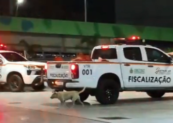 Detran-AM: Durante fiscalização, motociclista sem capacete é preso após tentar fugir e agredir autoridades