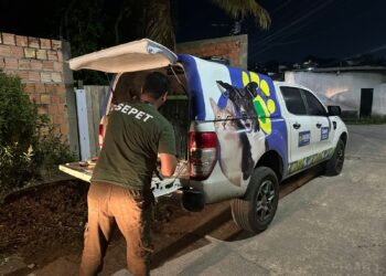 Mais de 20 animais são resgatados de canil clandestino desarticulado pela Sepet-AM