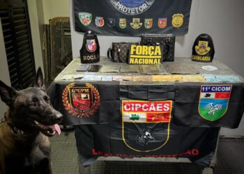 Base Arpão 2: PMAM apreende cocaína escondida em interior de bagagem