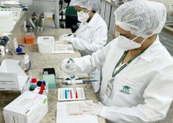 Esporotricose 2025: Amazonas atualiza boletim epidemiológico e reforça protocolo de notificação