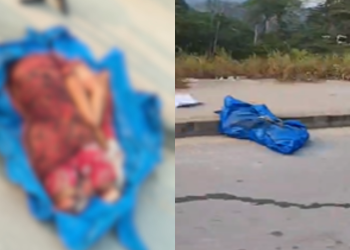 VÍDEO: corpo esquartejado e envolvido em lona azul é encontrado em Manaus